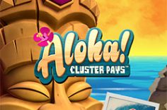 Enjoy playing the Aloha! Cluster Pays slot at Pin Up