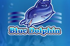 Enjoy the Blue Dolphin slot at Pin Up.