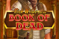 Enjoy the Book of Dead slot game at Pin Up