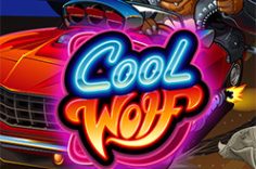 Enjoy the Cool Wolf slot game at Pin Up