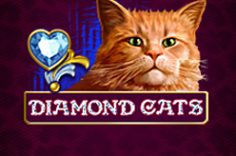 Enjoy the Diamond Cats slot game at Pin Up.