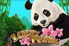 Try your luck with the Lucky Panda slot at Pin Up