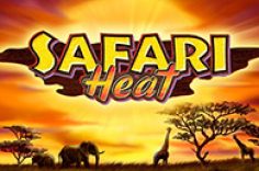 Experience the Safari Heat slot game at Pin Up.