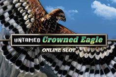 Experience the Untamed Crowned Eagle slot at Pin Up.