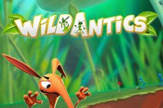 Experience the Wild Antics slot game at Pin Up