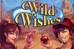 Enjoy playing the Wild Wishes slot game at Pin Up