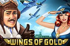 Enjoy playing the Wings of Gold slot game at Pin Up.