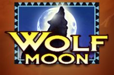 Enjoy the Wolf Moon slot game at Pin Up